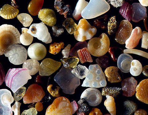 paperpile's tweet photo. Grains of sand magnified to 250 times their real size #DailyScienceSpark https://t.co/Cx1za0hMuq https://t.co/98x7o4BCEk