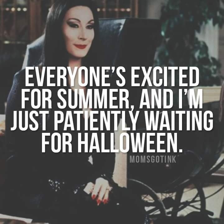 Blueeyedlette41's tweet image. 💀😍