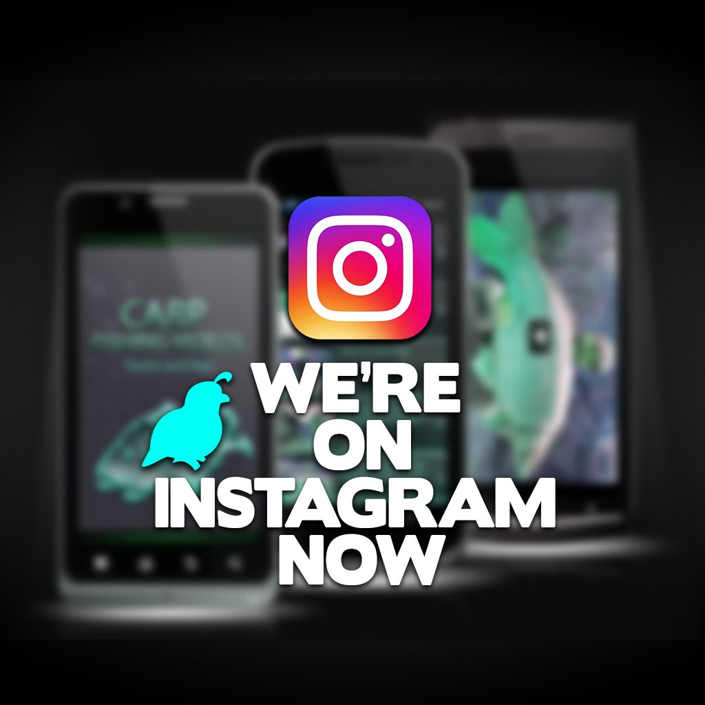 webelinx's tweet photo. You can find us on Instagram now as well! --> @webelinxdev :)
https://t.co/1T6d7XpQeh https://t.co/mqpnQrCsja