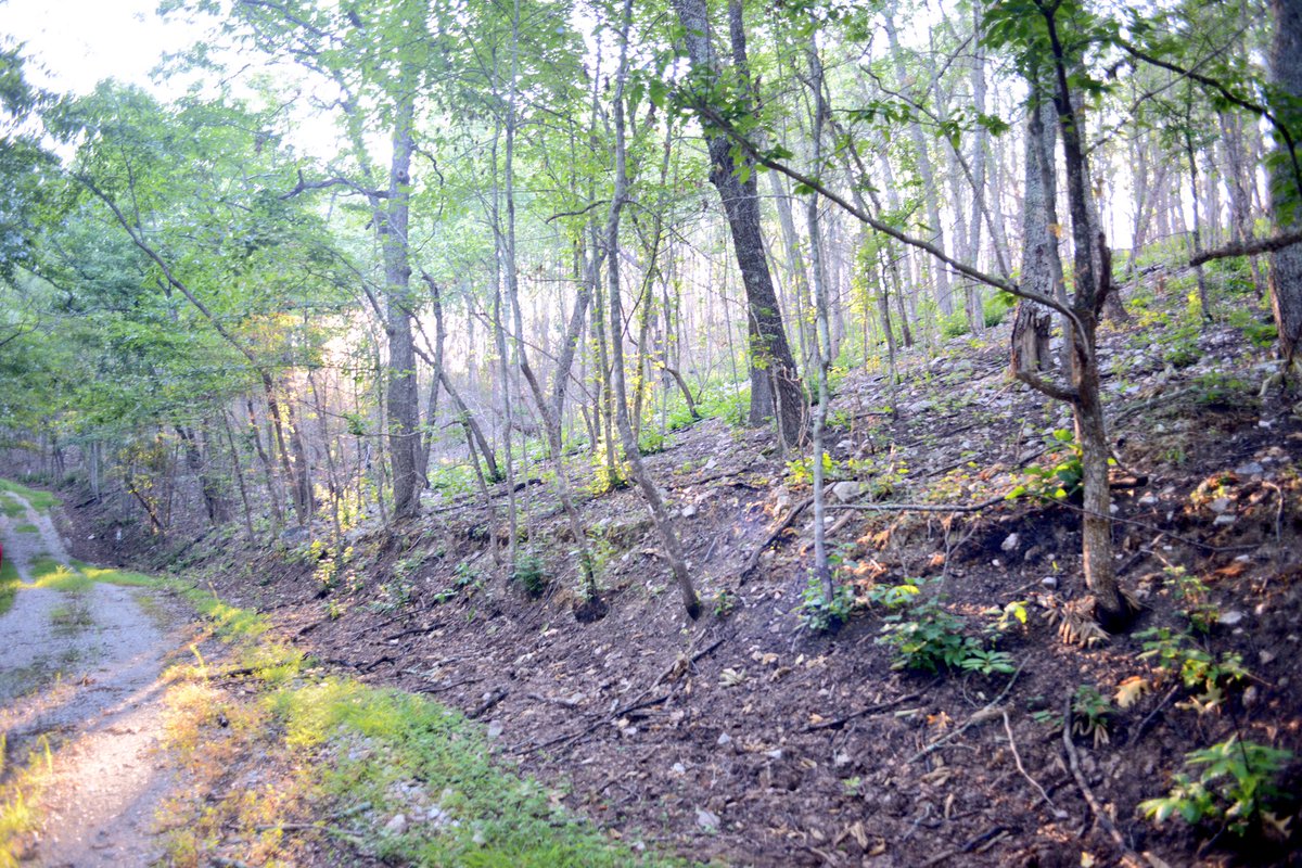 USFWSFire's tweet image. We're out visiting April's prescribed fire at Mountain Longleaf NWR to review fire effects #USFWS #ALfire #rxfire