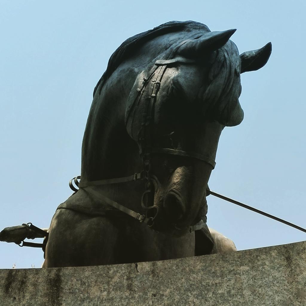 #carabiniere a #cavallo #monumento equestre in #piazza #risorgimento #roma #rioneprati #vaticano