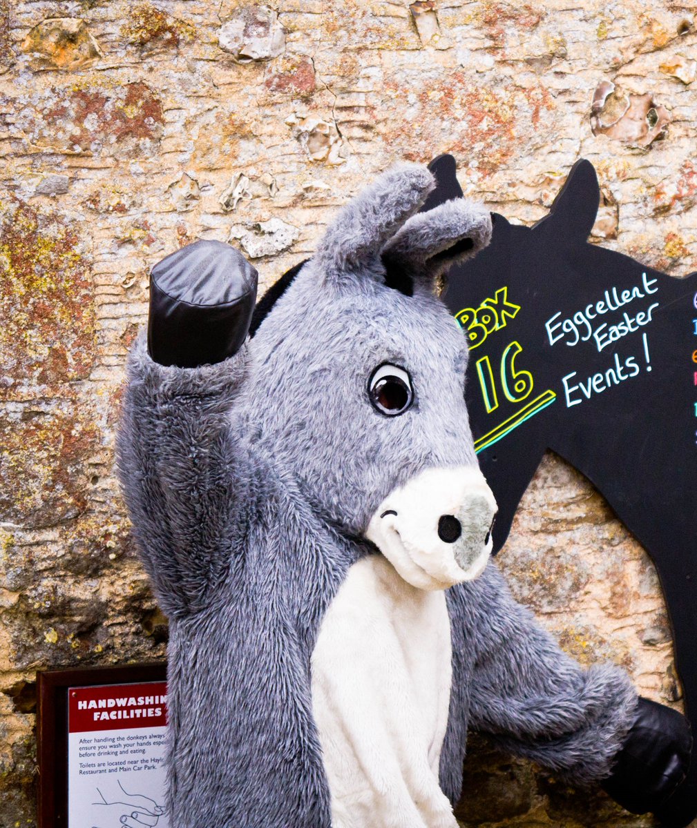 LadramBay's tweet photo. #GroupPebbles @Woodlands_Park @KentsCavesCavog @DevonAirAmb @DonkeySanctuary #ladrambay 14/7 @DevonTopDaysOut https://t.co/Xs2o3onSqi