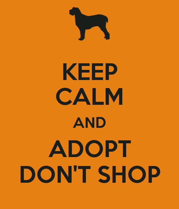 HomeyPet's tweet photo. Help us #save #pets in need by downloading our #app for FREE! #adoptdontshop https://t.co/yXu6IpXFxs    #HomeyPet https://t.co/lXEmeVSxMI