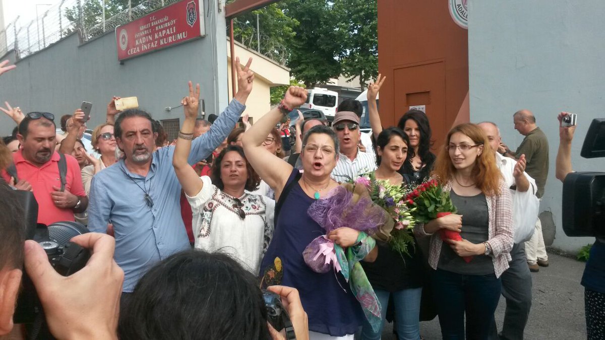 Şebnem Korur Fincancı: Bu daha başlangıç...