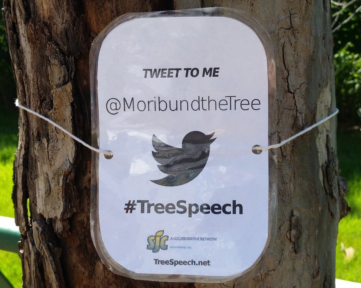 jcindependent's tweet image. .@SustainableJC &amp;amp; artist @AnnePercoco teamed up 2 create #TreeSpeech - Trees R talking 2 U! bit.ly/2975rcm