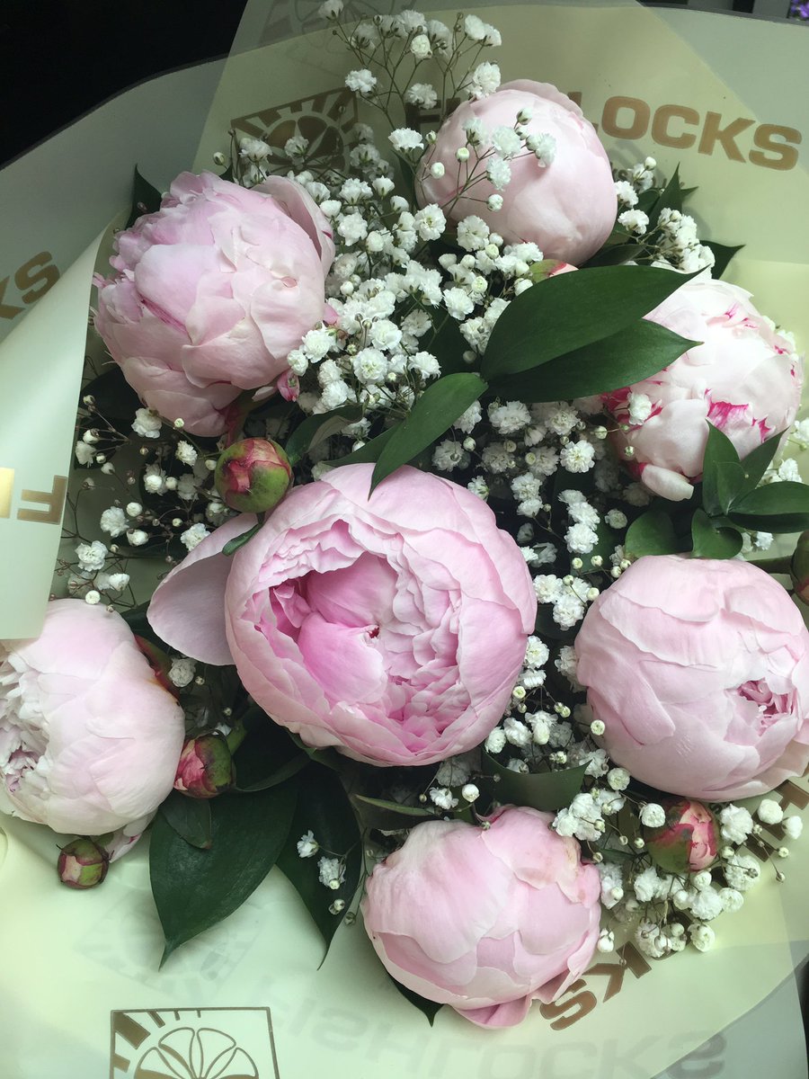 FishlocksFlower's tweet photo. Proper #peonies #sarahBernhardtPeonies #Flowers #FishlocksFlowers #Love https://t.co/lDre3bC0oj