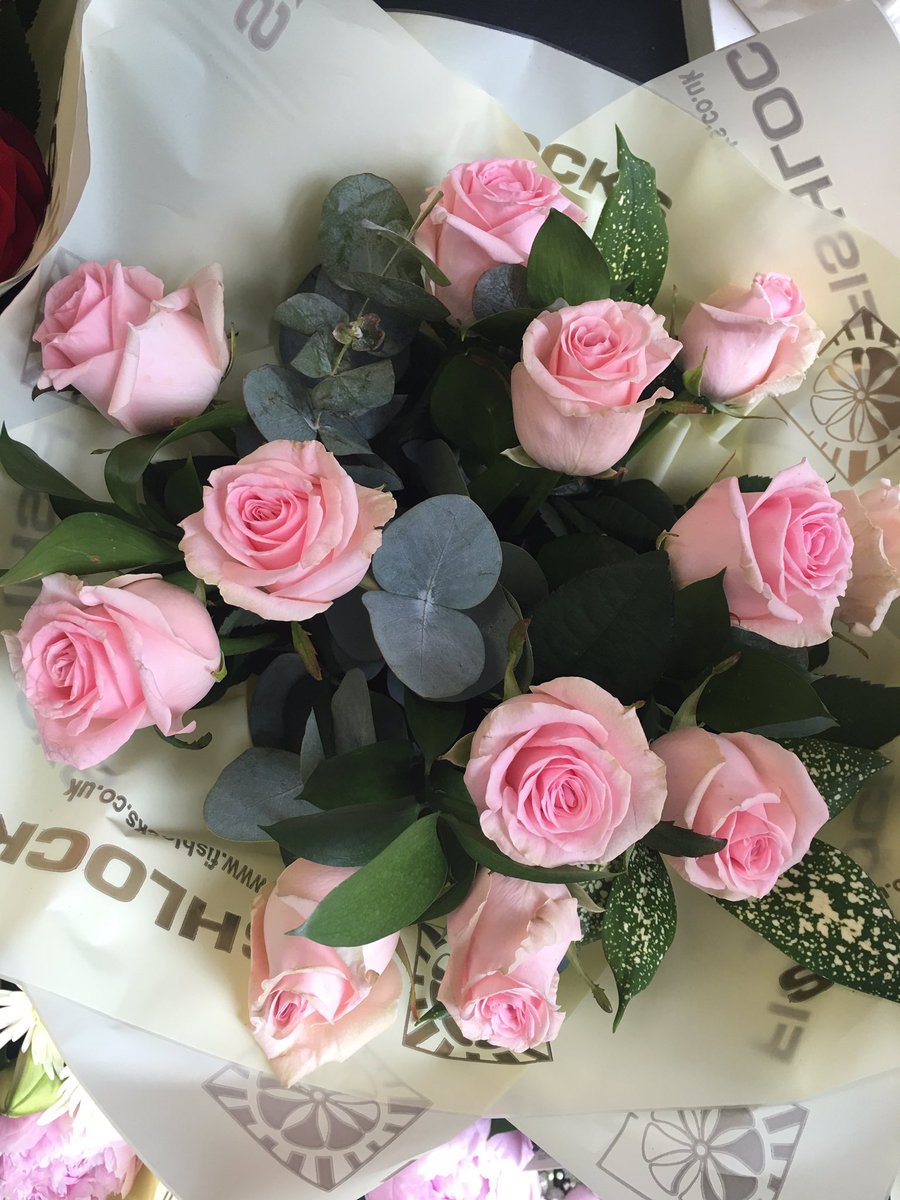 FishlocksFlower's tweet photo. #roses #sweetDolomitiRoses #love #flowers #FishlocksFlowers https://t.co/kXfIvwzfbO