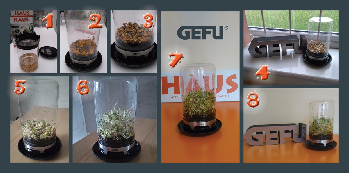 Haus tweet media