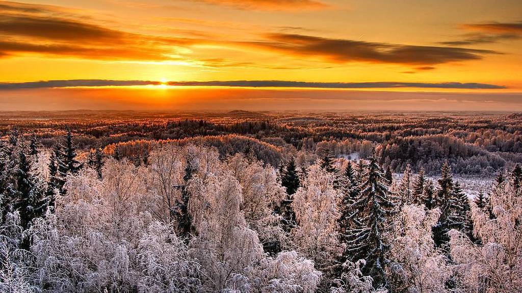 LibraryTravel's tweet image. Karula National Park, view from Rebasemõisa tower. 🌲🌲 Tag your travel buddy! 🙌🙌 #mytravell… ift.tt/295mvB3