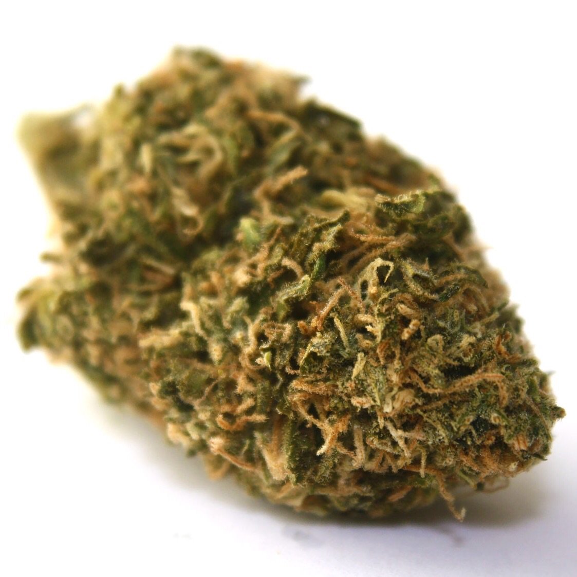 GoldenNugget___'s tweet photo. Cherry Pie is a heavy topshelf indica strain that is a perfect remedy for insomnia, stress, and loss of appetite!! https://t.co/kAMDBv78lk