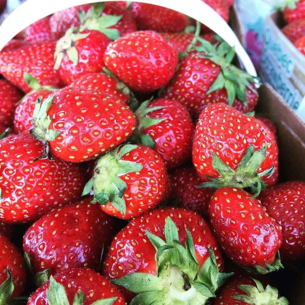 AgrimomQc's tweet photo. C'est le temps des #fraises #alimentsqc #quebecoriginal 🍓🍓🍓 #mangermieux https://t.co/tH68tIV61t https://t.co/gYK9bRFJfB