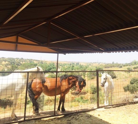 Terminamos el mes de junio... ¡Y empezamos el campamento!