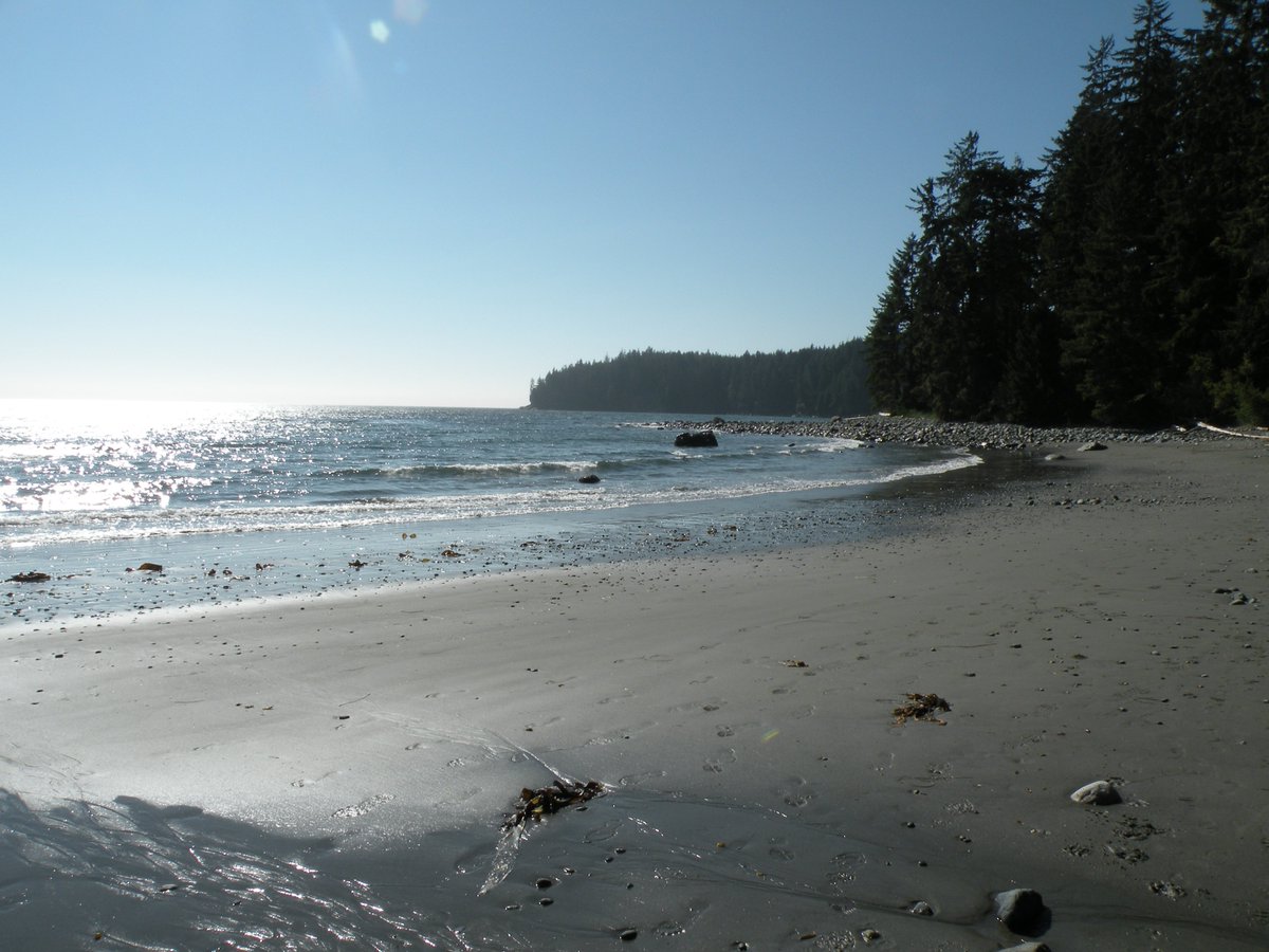 missycat57's tweet photo. @SPUDVancouver visiting the beach #spudsummer https://t.co/n1aH1tggaI