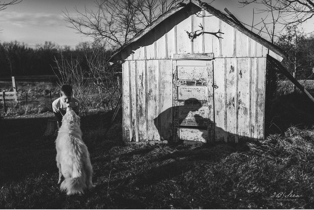 susanportnoy's tweet photo. NEW: A fantastic #photo by Angee Mann. A boy & his dog. Twice. Why it's great. https://t.co/h07KOTPXk8 #PIWT https://t.co/t9zgMbBZvc
