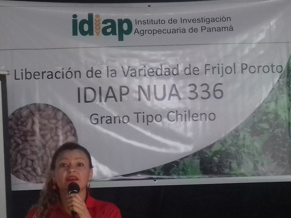 HDJuanSerrano's tweet photo. Acto protocolar en Río Sereno "Liberación de la variedad de frijol poroto IDIAP NUA 336 tipo Chileno" https://t.co/1CpsrYalSB
