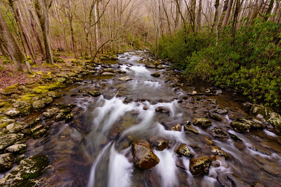 LarryTyner1's tweet photo. Greenbriar Area, Great Smoky Mtns NP, 004 #photography, #GSMNP, #longexposure https://t.co/Cq2usK0xev
