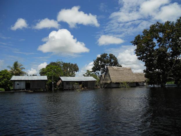 A rich #eco diversity, #interesting people, and one of the largest protected areas in #Peru.
peruthisweek.com/travel-butterf…