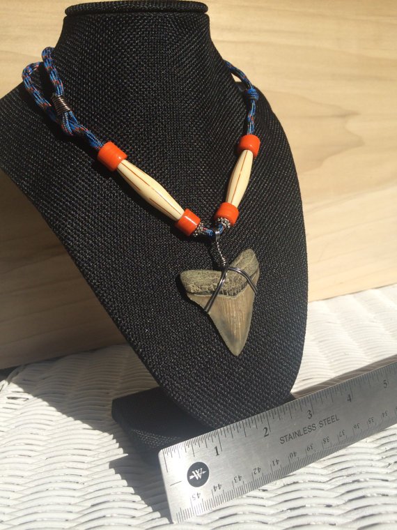 SharkyGoodsShop's tweet photo. It's still #SharkWeek Get cool necklaces to go with the rest of your sharky apparel! https://t.co/3ysf9QCLbB #etsy https://t.co/Xp4s22jDmK