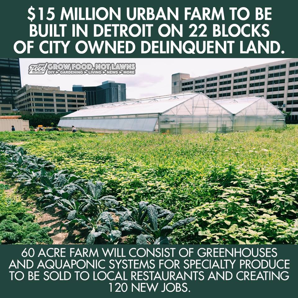 crowdfundafarm's tweet photo. https://t.co/7ZeHjJeRhA