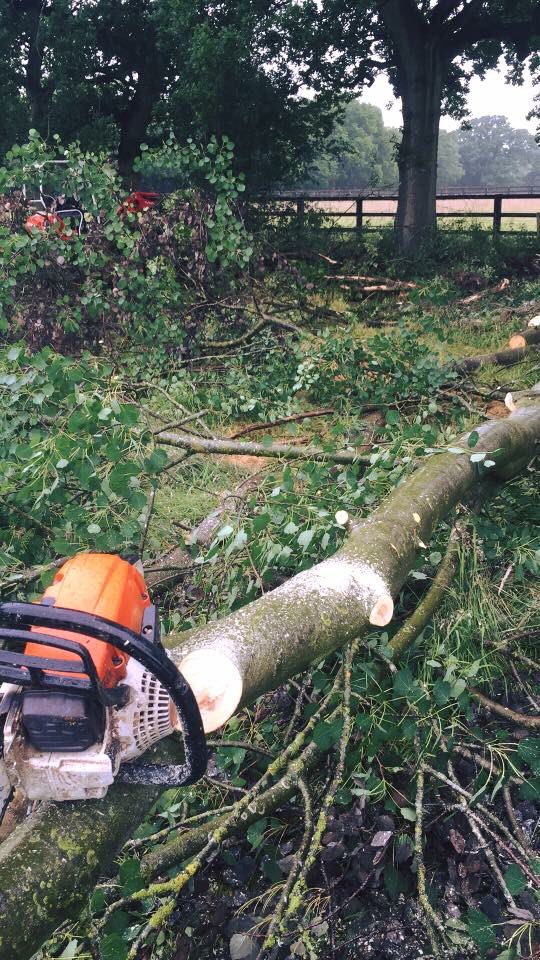 Pinfields tweet media