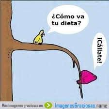 BarFelipeVI's tweet image. ¿Y tú como la llevas? En @BarFelipeVI  disfruta de nuestros batidos naturales y caseros para equilibrar tu dieta.