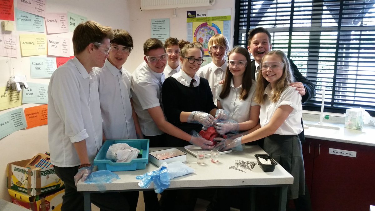 trace_adams's tweet photo. Check out the Y10's today @THS_Science #futurebiologists #lungdissection #practical with Mrs Adams https://t.co/BEsotUulCa