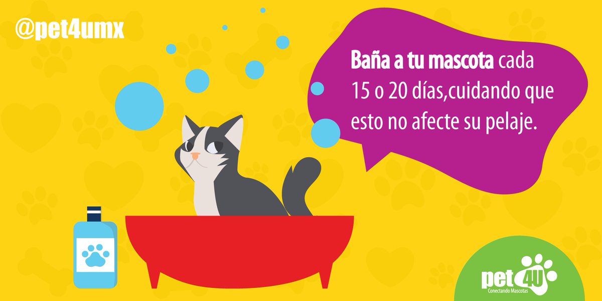 pet4umx's tweet photo. Recuerda la importancia de darle un baño a tu mascota. #ManualdelDueñoResponsable https://t.co/j8nRP5CAil #notes4u https://t.co/qTZDtJrdLr