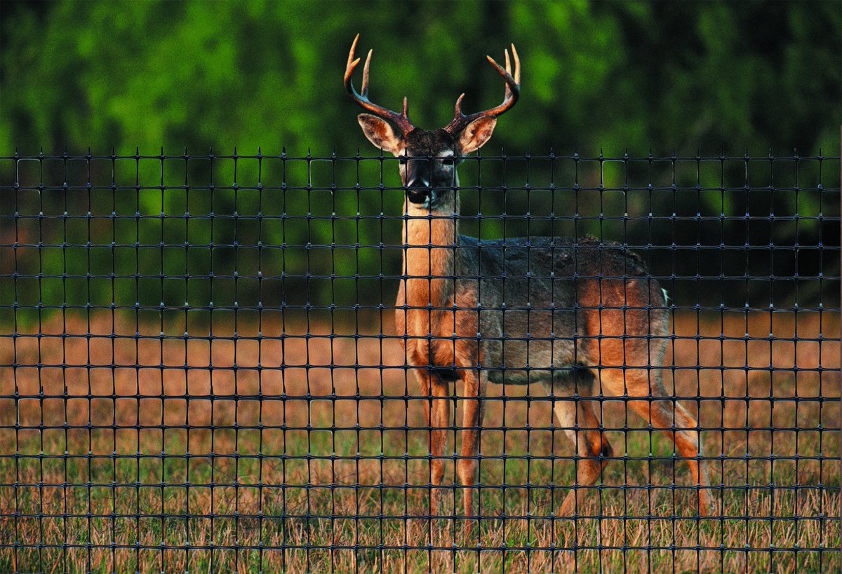 Deer problems?  deer net and deer fence can be a huge help!  Check out our website for more info.