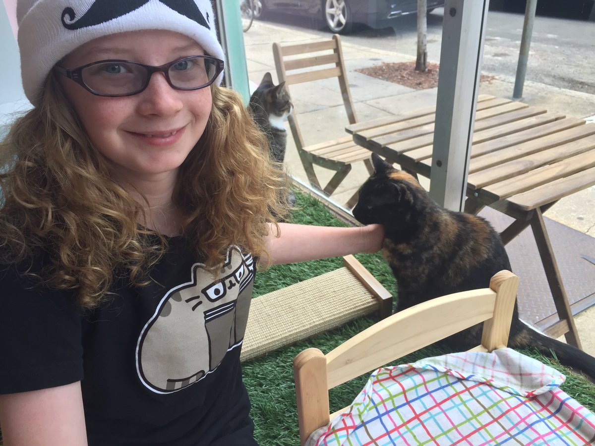 chinacat29's tweet photo. @kawaiikittycafe is finally open! #Philly #FabricRow make your reservation today @phillypaws https://t.co/fS12AjAPbS