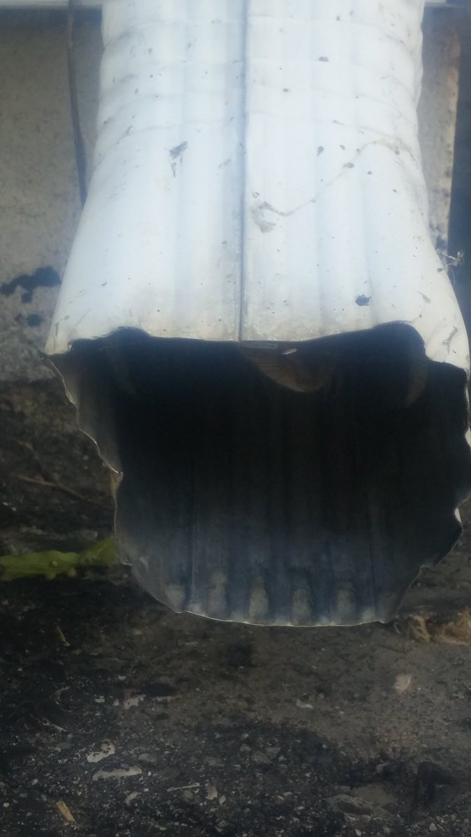 scottycan33's tweet photo. Downspout....scratching....nose....tail....Alvin! Get out of there! #CannotGetUp #ScaredyMunk https://t.co/SQ7Q4Zxwy3