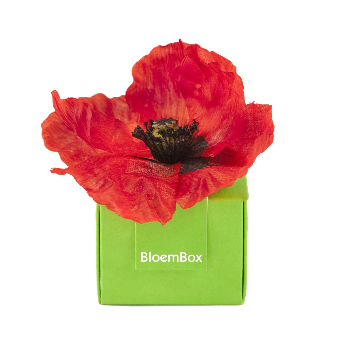 BloemBox's tweet photo. Have a bloomin' 4th of July! #bloom #4thOfJuly #fun #flanderspoppy https://t.co/a09qQijQbr