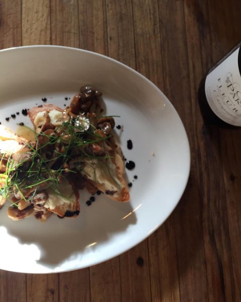 Wild mushrooms on celeryroot and toast; biodynamic Gamay by the glass...wanna do dinner? #eeeeeats