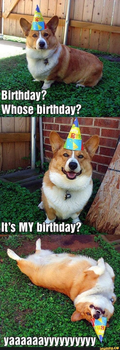 Terraskor's tweet image. #lol #cute #doggo 
ifunny.co/fun/N69Kyffz3
#iFunny