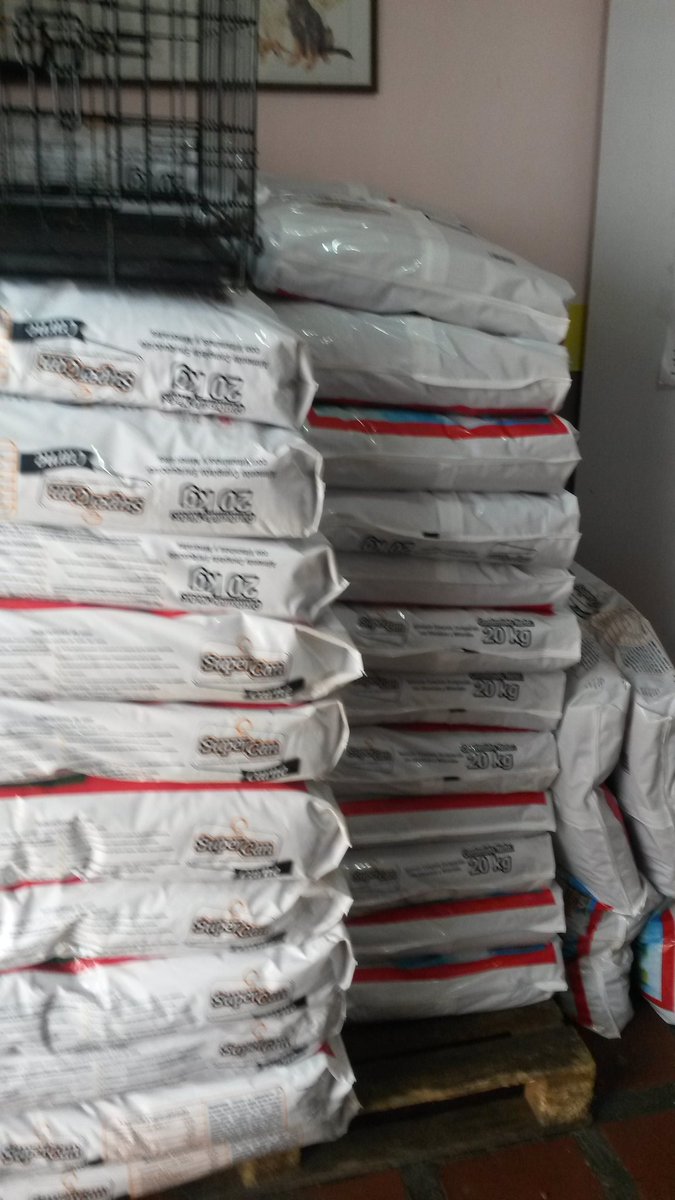 ianimalandia's tweet photo. Llegó  supercan carne de 20 kilos y de 4 kilos. Av Álamo  en Macuto. 02125243362 https://t.co/i5O4cqfHd5