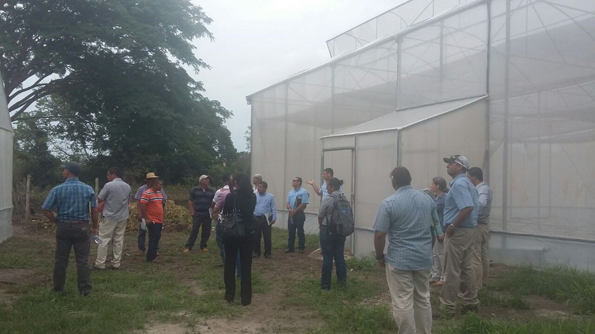 AbdelTorresD's tweet photo. Hoy Riegos de chiriquí/MEDUCA, capacita educadores agrop. de Prov. centrales, producción agrícola en Invernaderos. https://t.co/kCL1xHV3EX