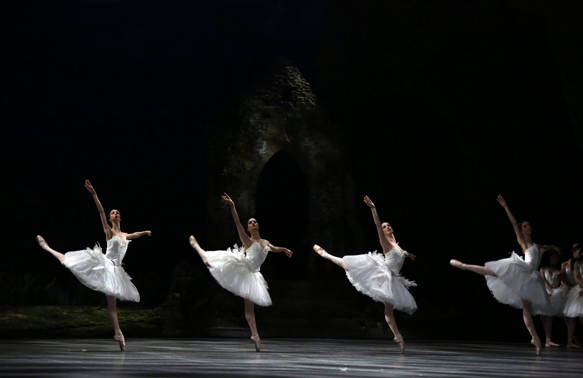 #lagodeicigni Cigni grandi e piccoli continuano a danzare alle prime luci dell’alba