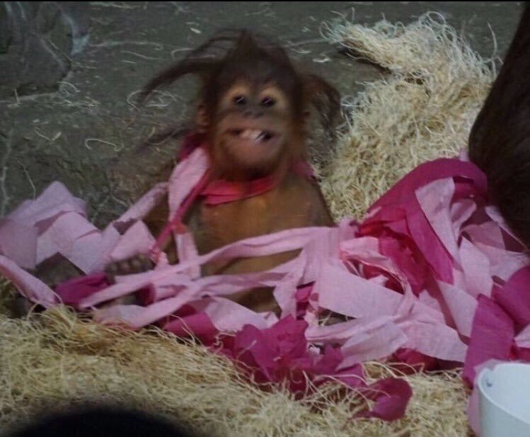 ItsGirllCode's tweet photo. When i'm taking a nap and my mom yells 
"THE FOOD'S READY" https://t.co/QrHGiO6sXr