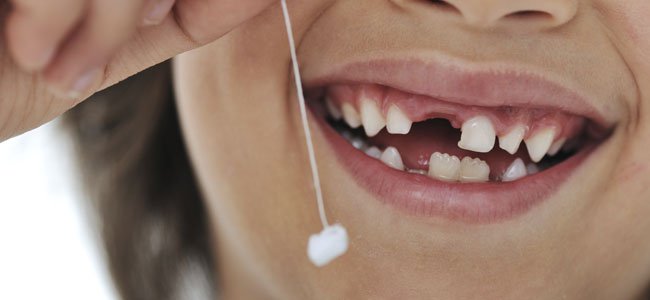 antena3com's tweet photo. Los dientes de leche tienen células madre, como el cordón umbilical. ¿Lo sabías? https://t.co/82kklDj9i0 https://t.co/wIkbx7FYKU