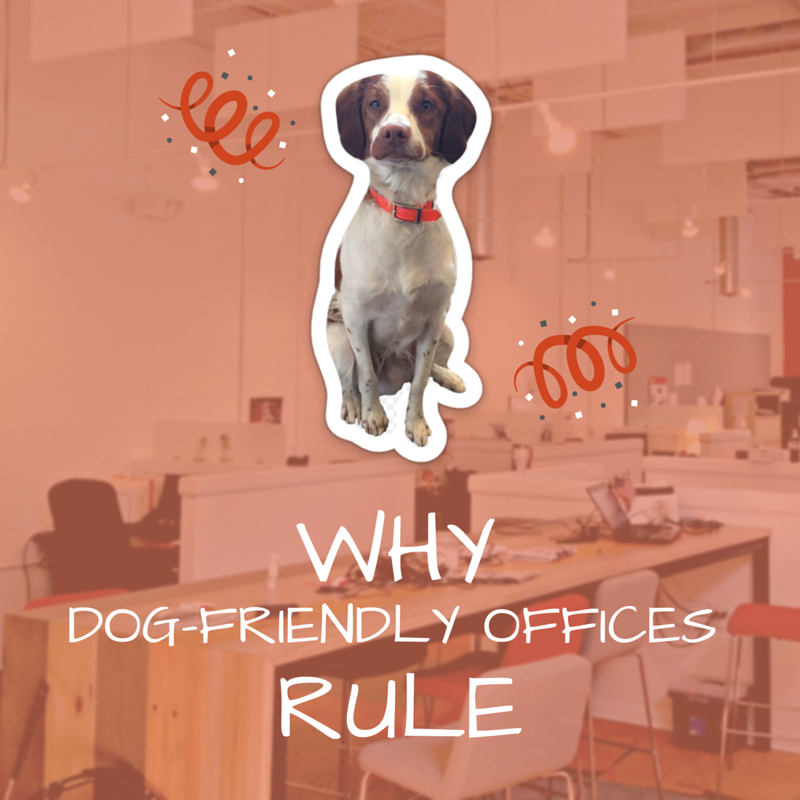 #Dogs are the new face of the #workplace. Check out the #bff benefits! bit.ly/297QjuA <a href="/Payscape/">Payscape</a>