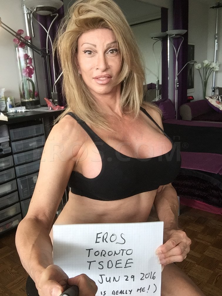 Eros Tranny Escort 49