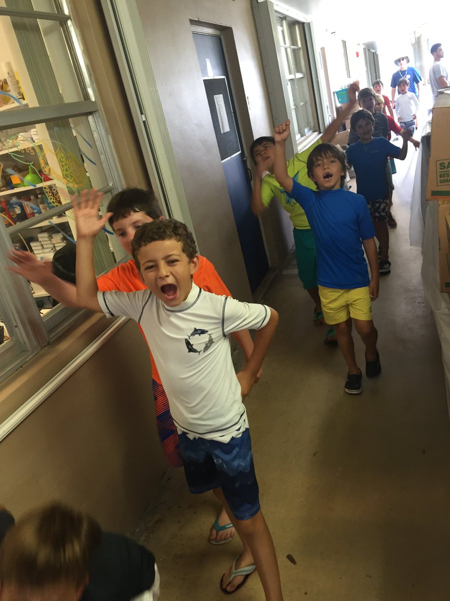 Gulliver Summer tweet media