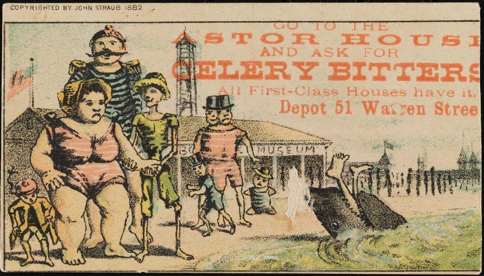 blaughner's tweet photo. Happy #SharkWeek! Here's a sharky trade card c.1882 from the @MuseumofCityNY collection. #celerybitters #AstorHouse https://t.co/8rKYgJTdMX