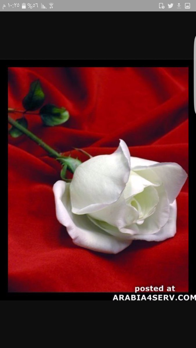 فيصل الغامدي (@fasoligham) on Twitter photo 