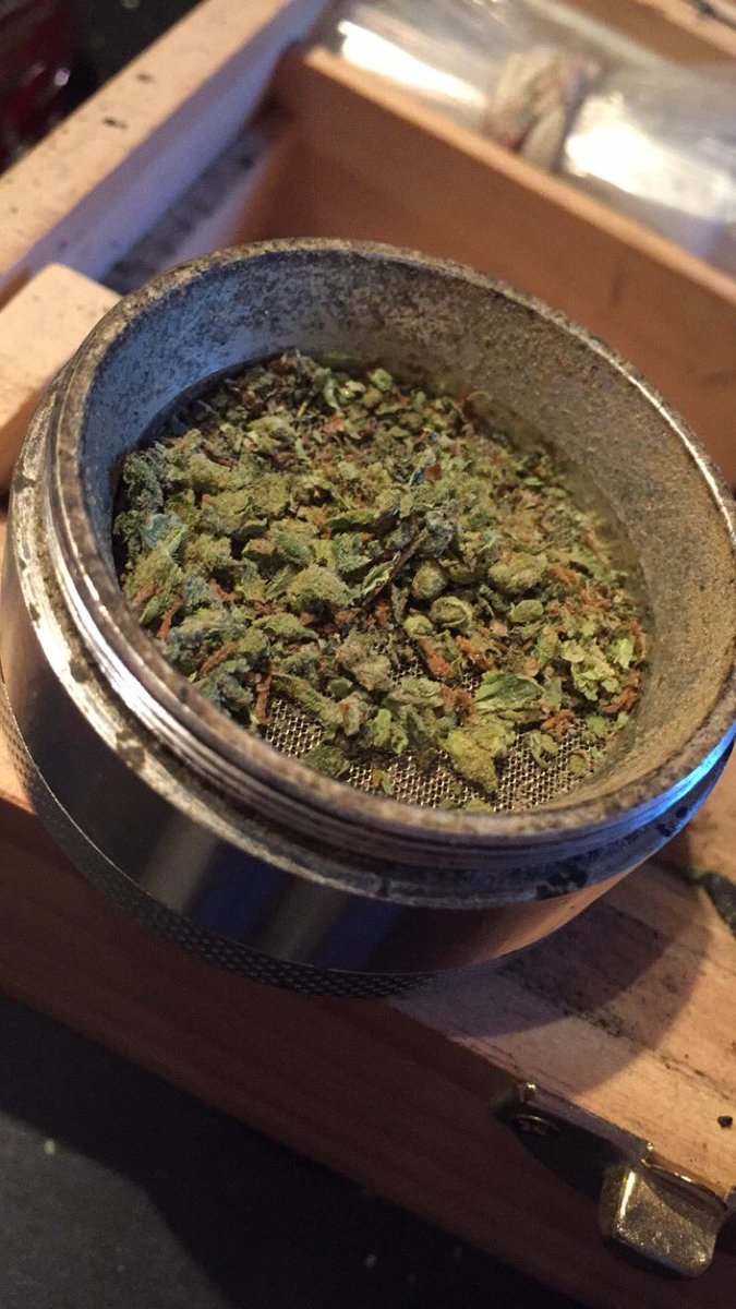 MaggieKush's tweet photo. This is all I have left 😟 at least I re up tomorrow 👌🏻 #marijuana #grass #ganja https://t.co/wYZB4vyy43