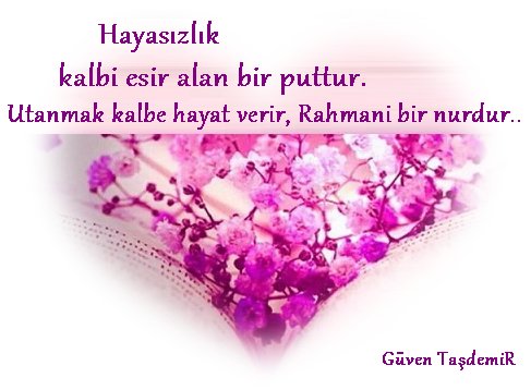 Aysen Demir (@AysenAysendemir) | Twitter