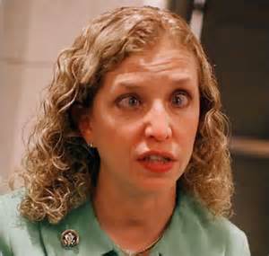 Bernie Sanders supporters sue Wasserman-Schultz, #DNC alleging primary election fraud