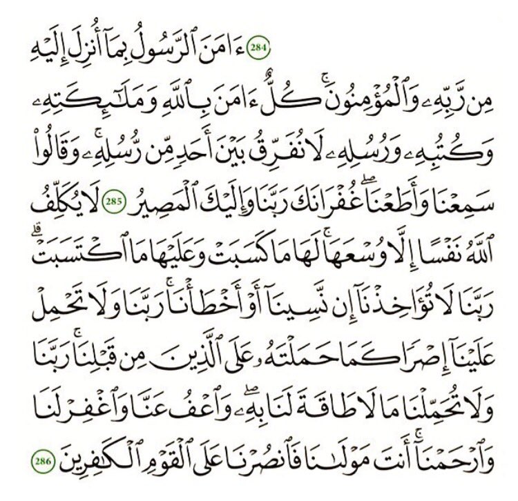 Mohammad .. tweet media