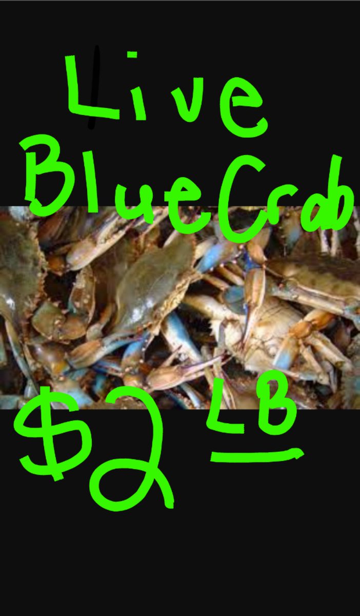 NavarreSeafood's tweet photo. Come get em! #shopnavarre #pace #supportlocalfisherman #milton #Navarrebeach #Navarre #FortWaltonBeach #Pensacola https://t.co/6u1QLLtg5k