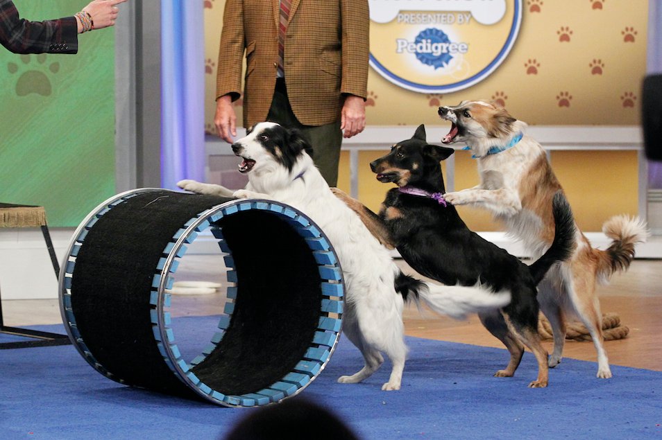 When you roll into the club with your crew and spot that person you've been avoiding: 😳