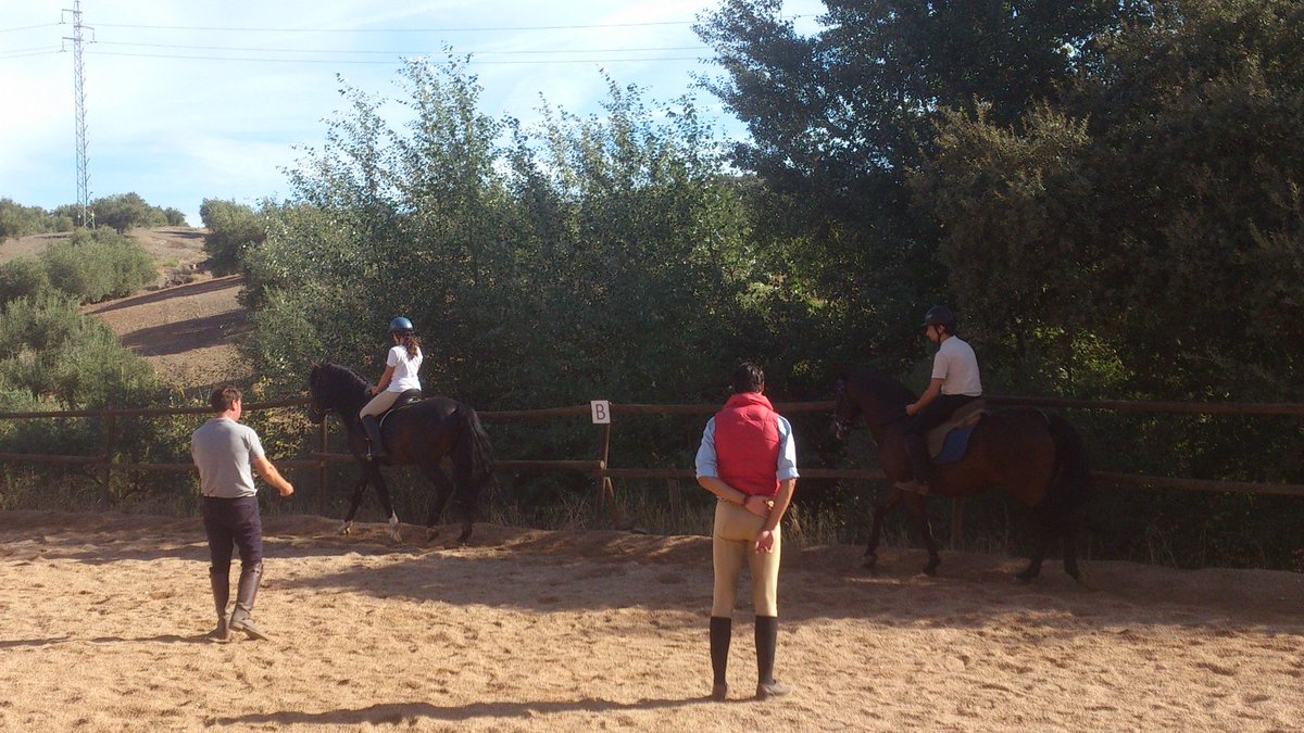 5C2081's tweet photo. ¿Todavía no tienes planes para este verano? 
¡Aprende con nosotros sobre el mundo del Caballo!
#ClasesdeEquitación https://t.co/JSnu3BouRL